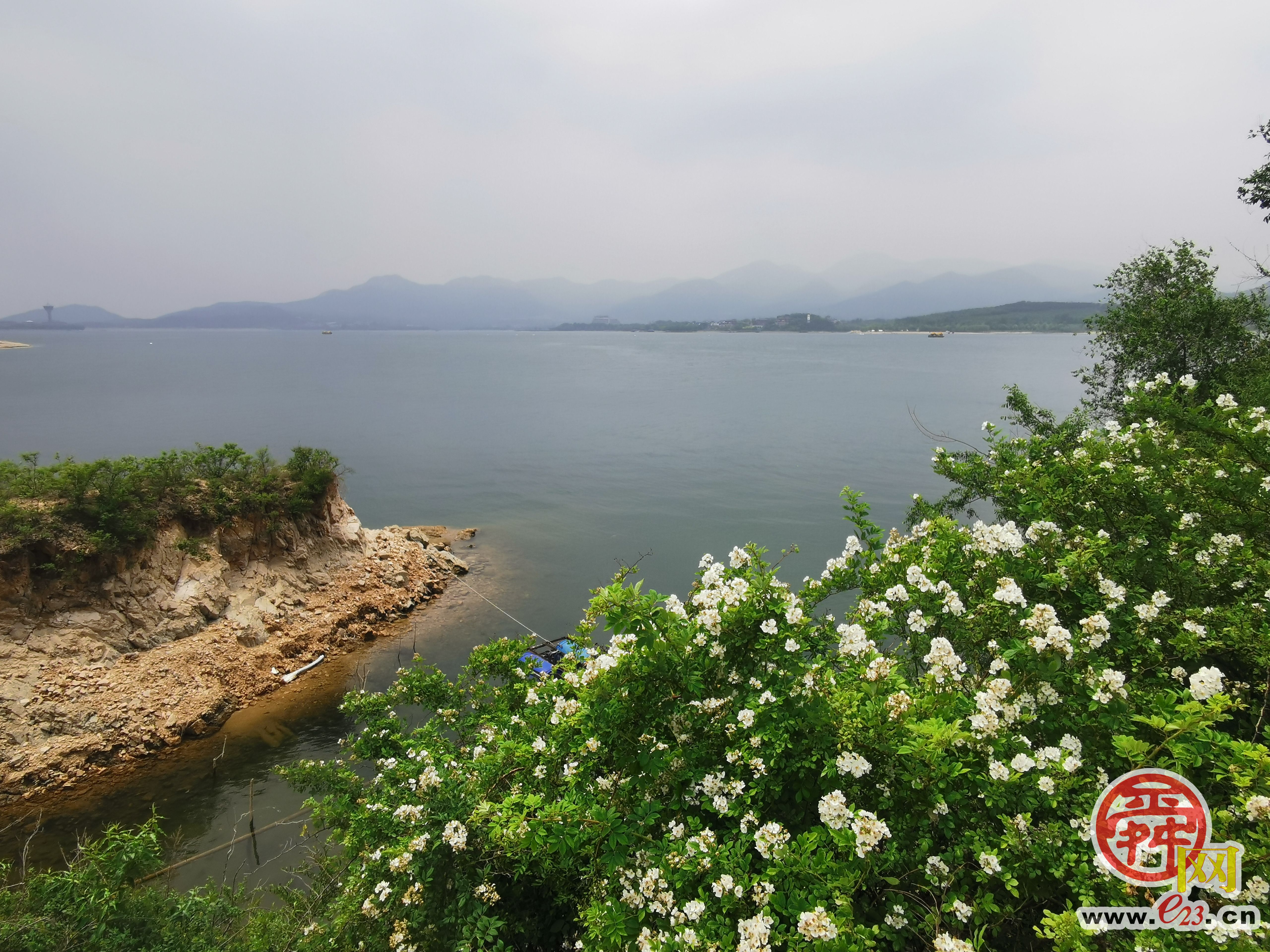  “济南小洱海”畔休闲嬉戏 尽享初夏清凉周末时光