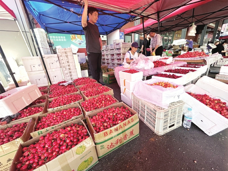 探访济南樱桃销售市场：本地樱桃大量上市了，最便宜的5元/斤