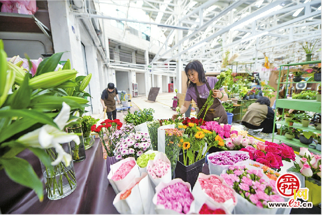老东门市场转型变身花卉水族市场