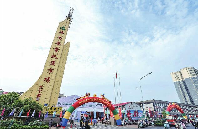 济南第十七届茶博会昨日开幕，持续到5月29日