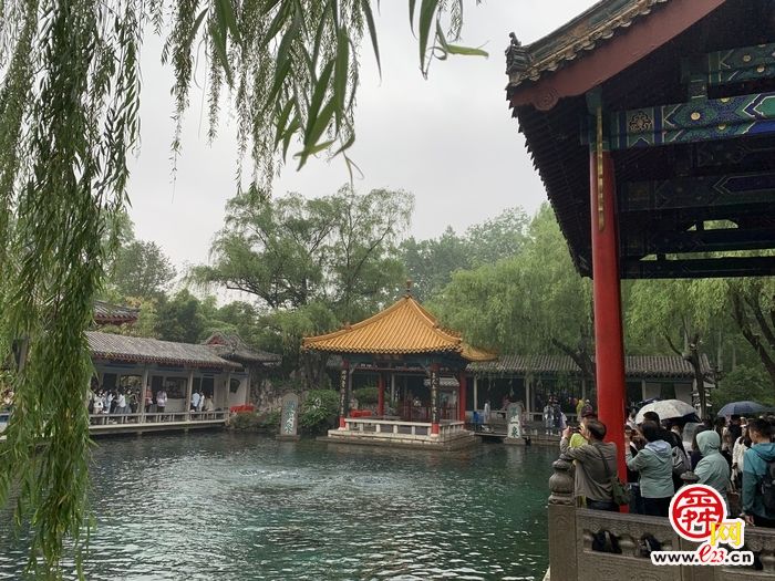 当济南茶博会邂逅“李清照”门前风景雨来佳半是泉水半是茶