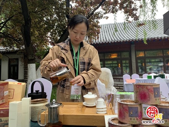 当济南茶博会邂逅“李清照”门前风景雨来佳半是泉水半是茶