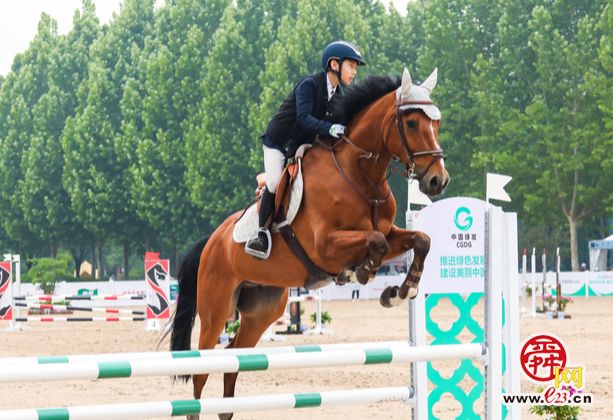 “鲁能杯”2023年中国马术场地障碍冠军杯赛开赛