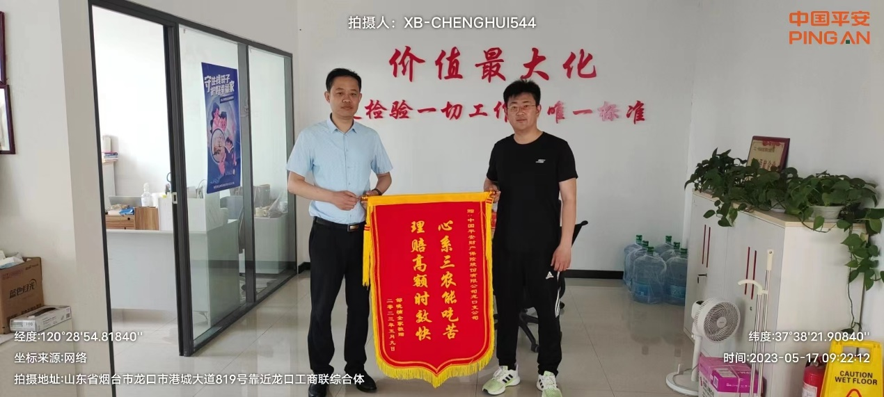山东平安产险：生猪承保助力复产，查勘理赔保驾护航