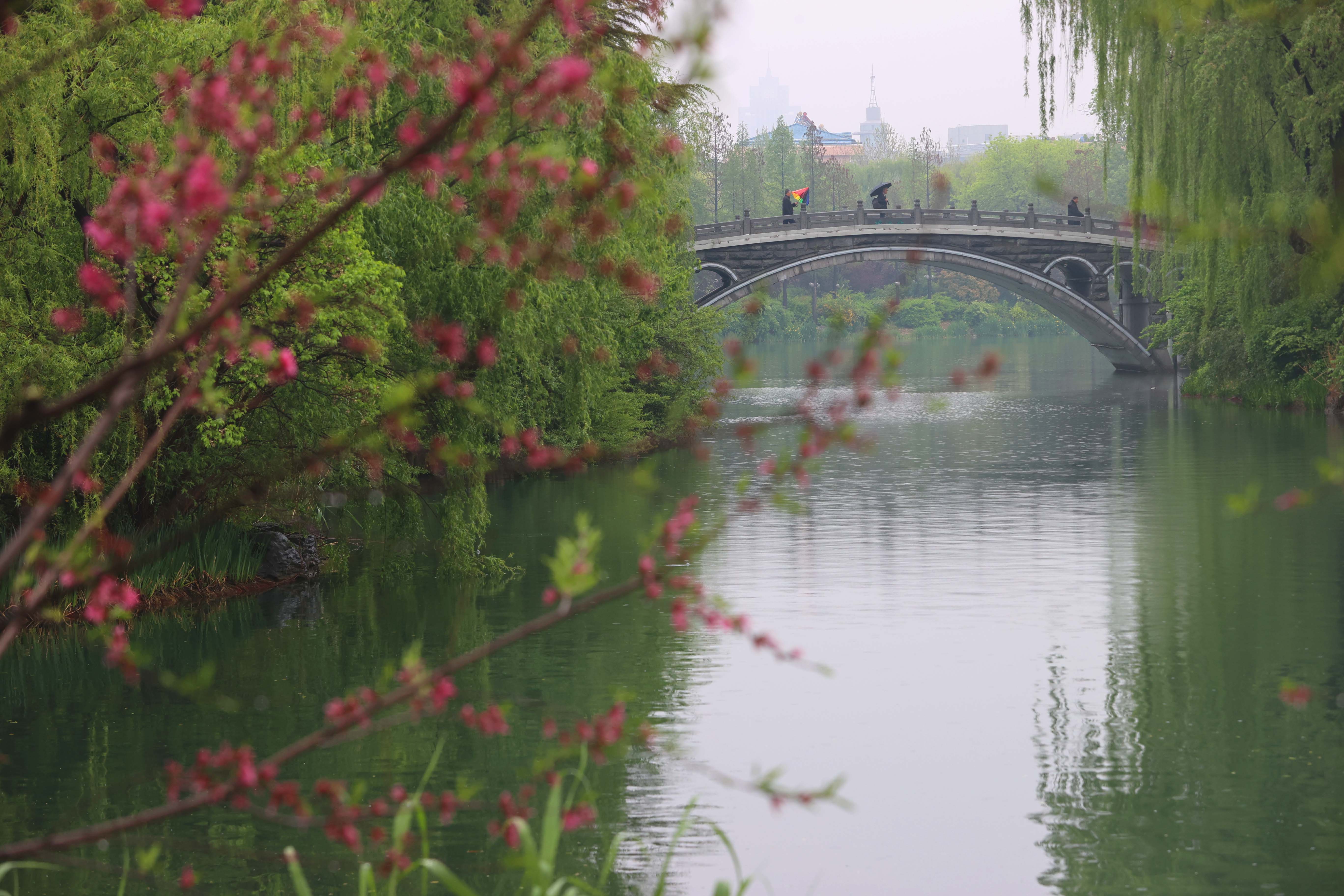 未来三天济南微风不燥，多云天气唱主角！