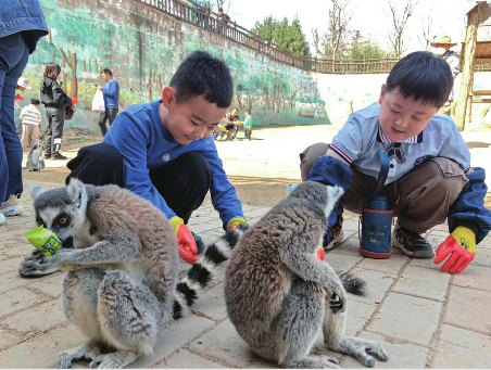 济南市槐荫区清致幼教集团：以温暖之心 办有爱的幼儿教育