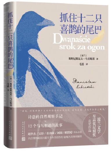 观鸟，是注视自然馈赠给我们的世界