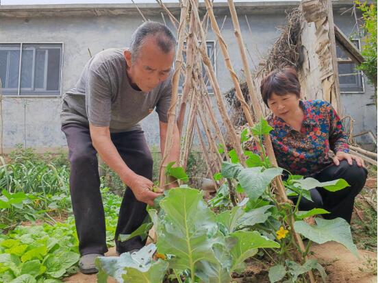 融媒先锋丨把矛盾化解在基层，这里的党建与众不同——老田叔和“五老乡贤说和团”…