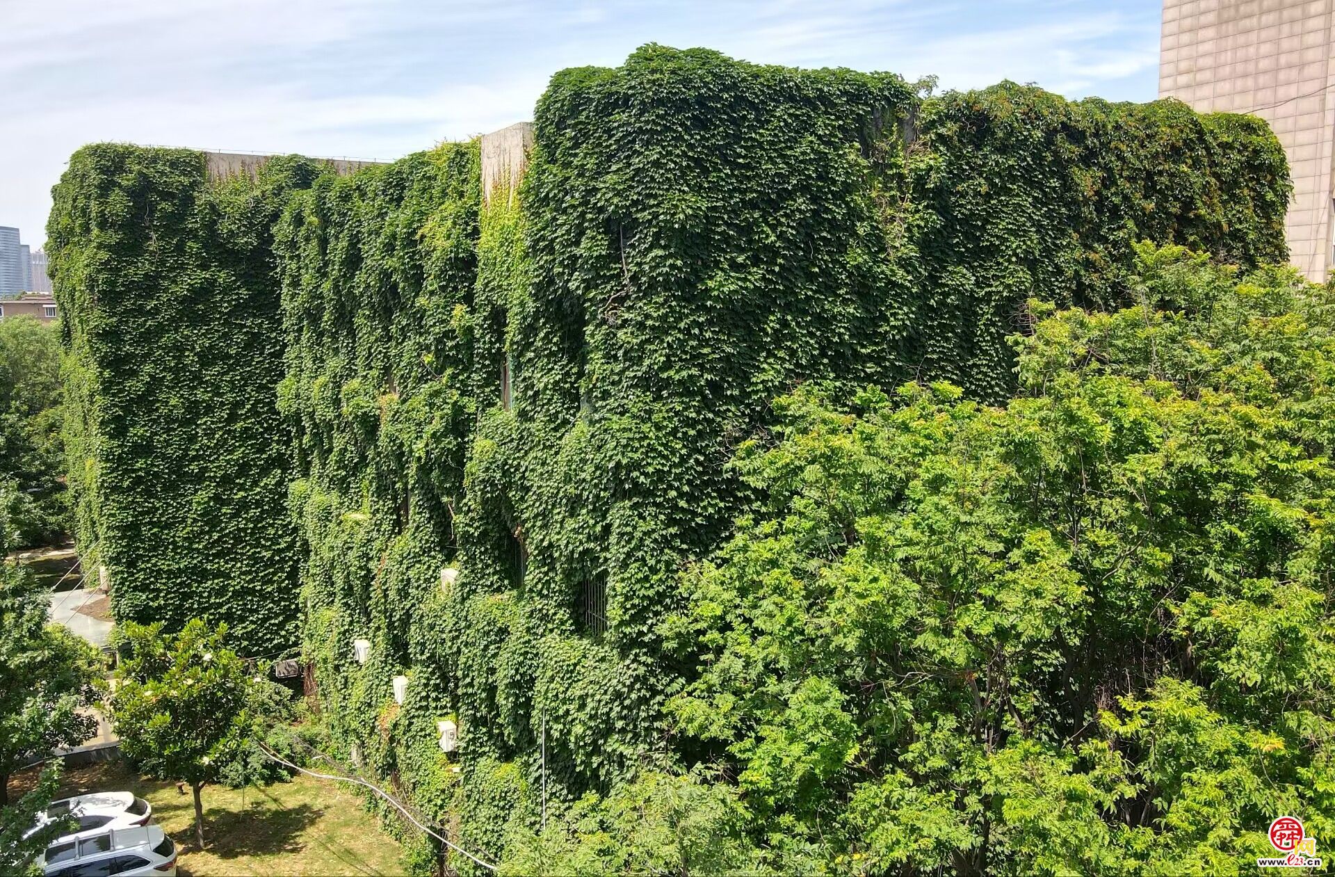 济南这里有座“绿色城堡”，夏季清凉又环保