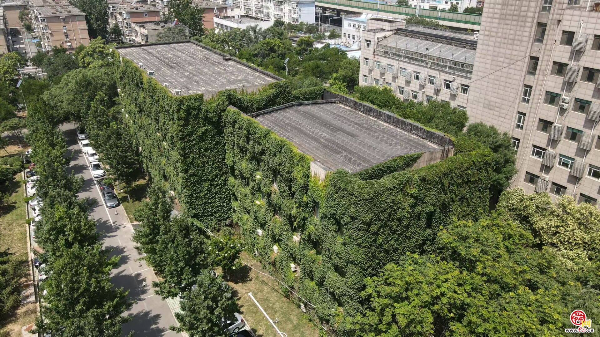 济南这里有座“绿色城堡”，夏季清凉又环保