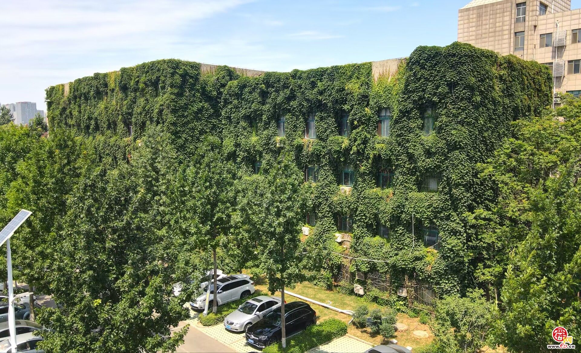 济南这里有座“绿色城堡”，夏季清凉又环保