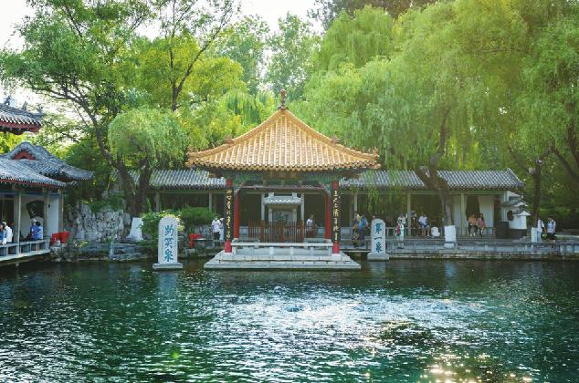 超长“待机”340天 “趵突腾空”引游人如织