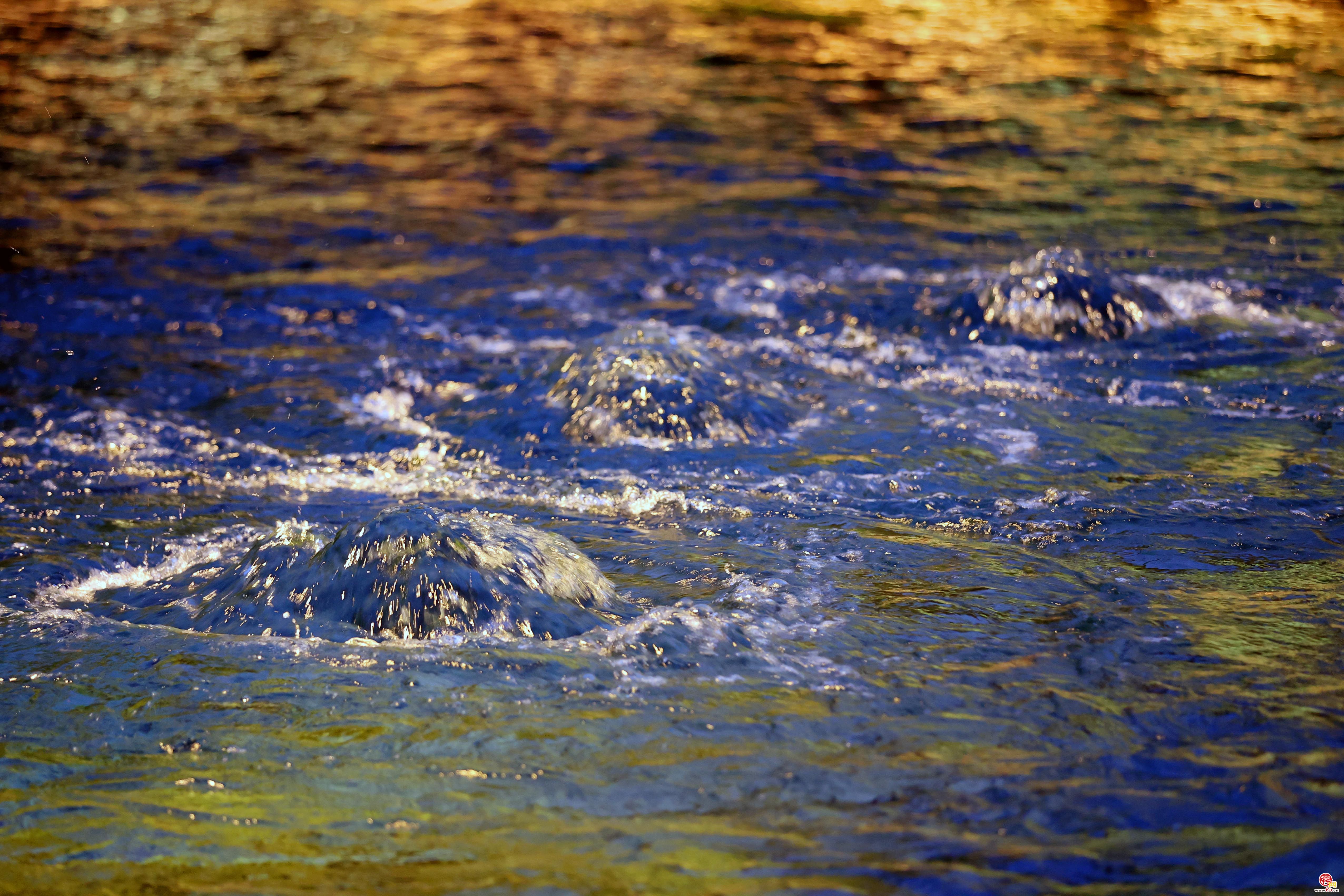 灯泉相映韵味浓 “夜游趵突泉”惊喜连连!