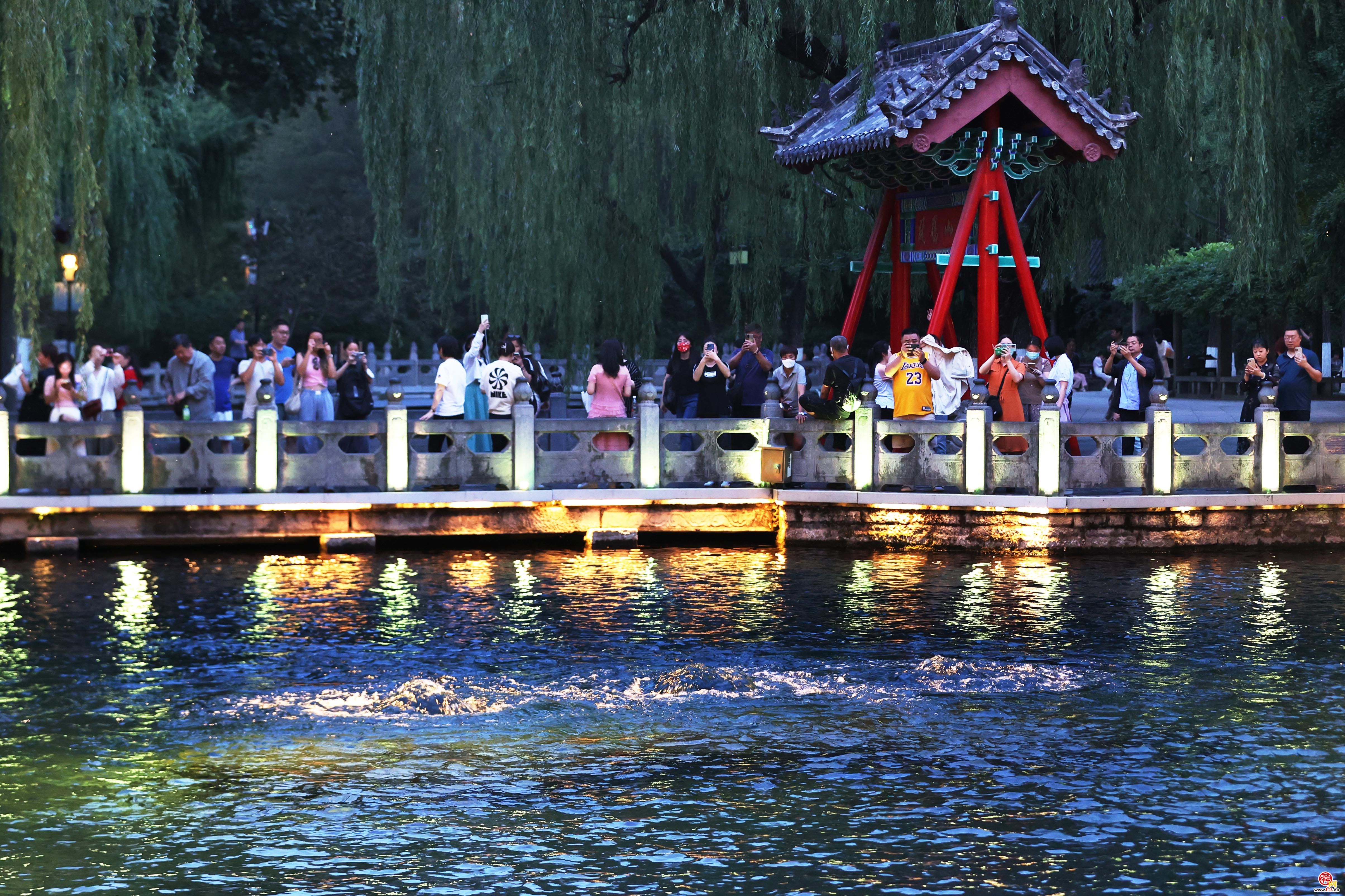 灯泉相映韵味浓 “夜游趵突泉”惊喜连连!