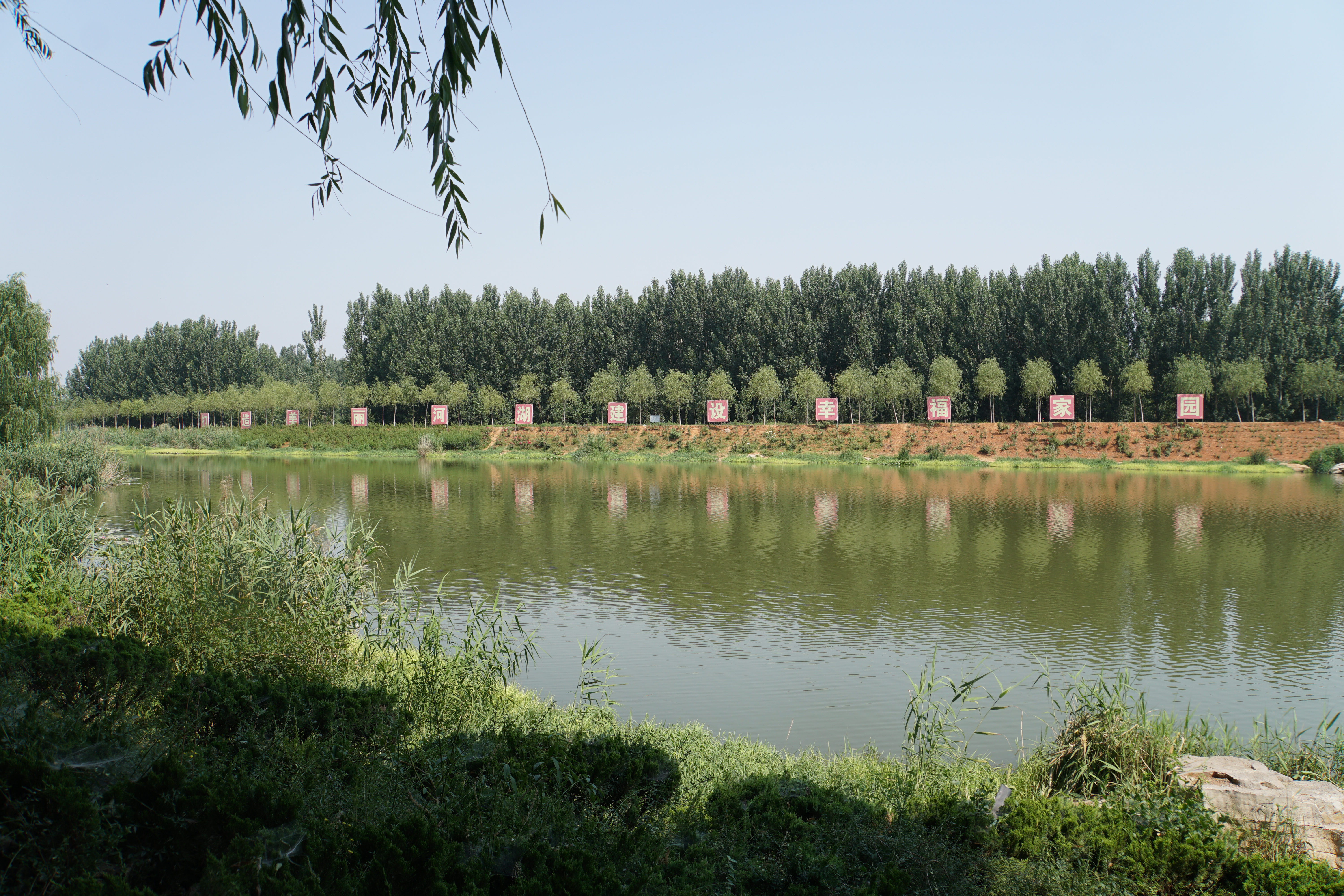 山东泰安: 银行业助力黄河流域生态保护和高质量发展