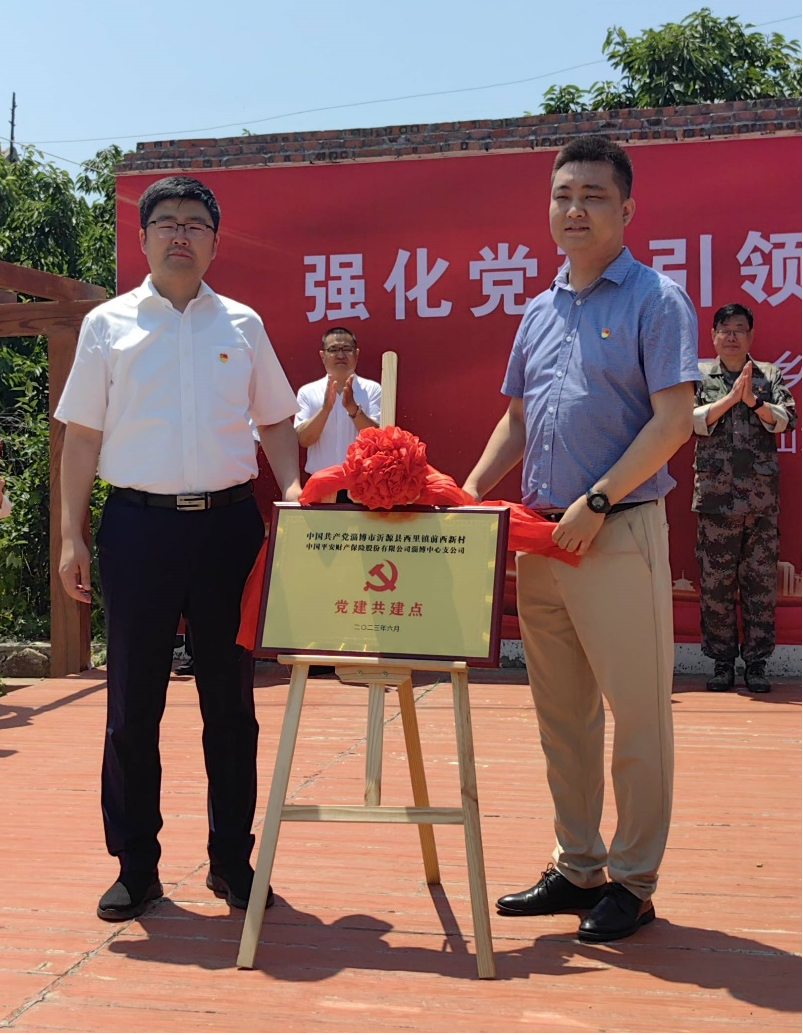 强化党建引领、助力乡村振兴 山东平安产险乡风100山东淄博站