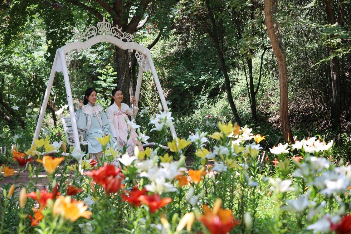 鸟禽鸣唱 山清水秀！济南红叶谷里乐度夏日时光