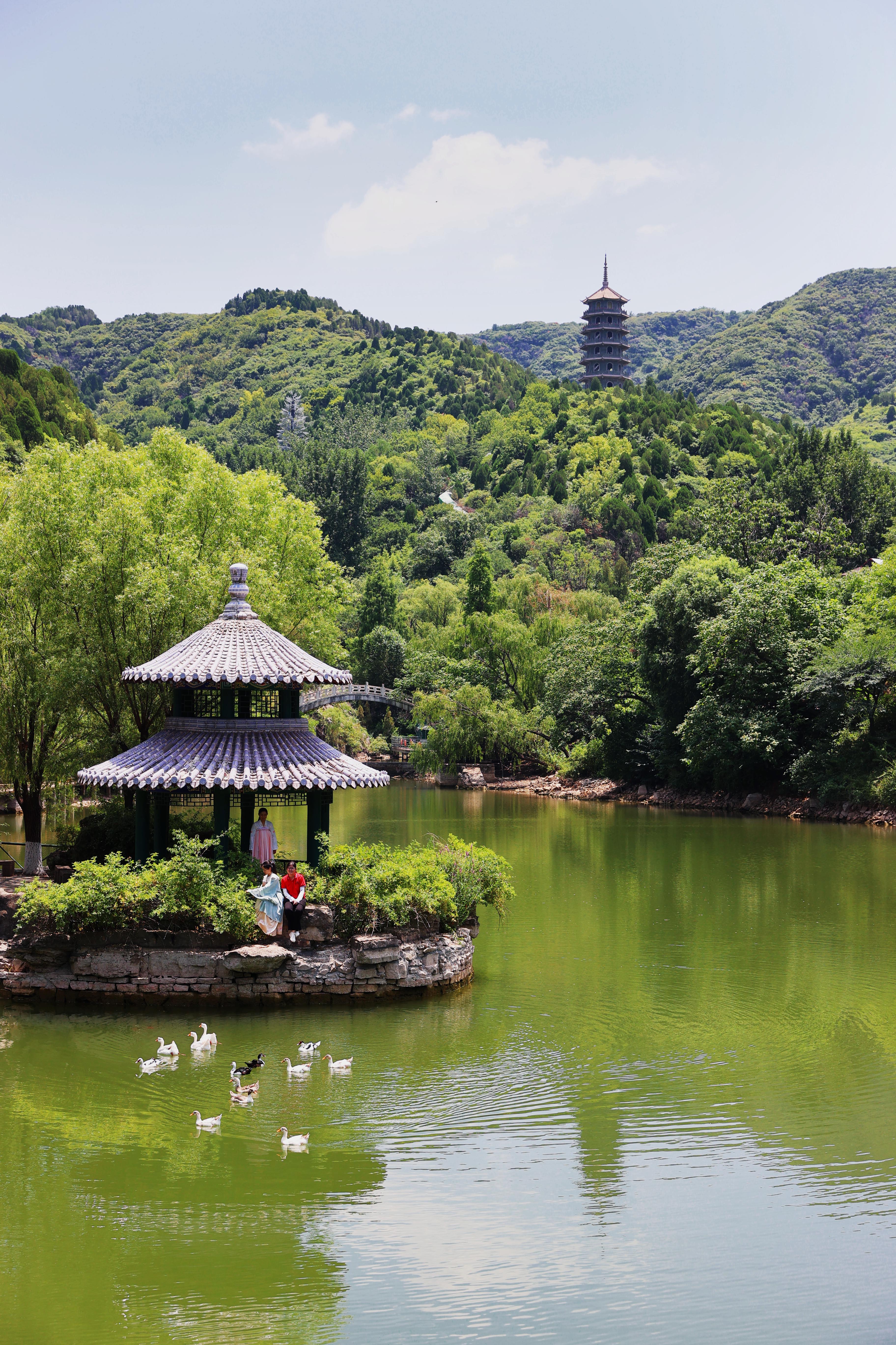 鸟禽鸣唱 山清水秀！济南红叶谷里乐度夏日时光