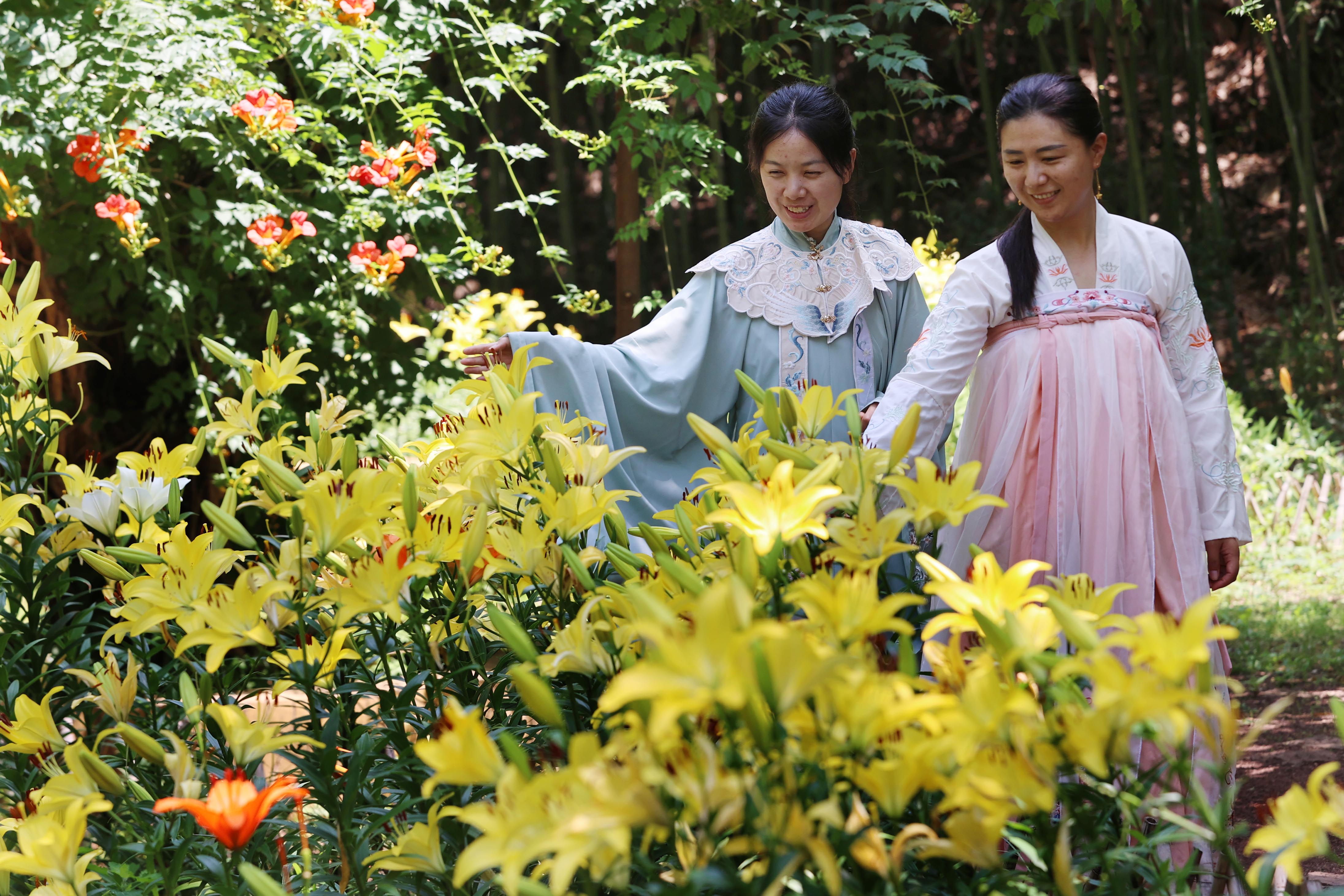 鸟禽鸣唱 山清水秀！济南红叶谷里乐度夏日时光