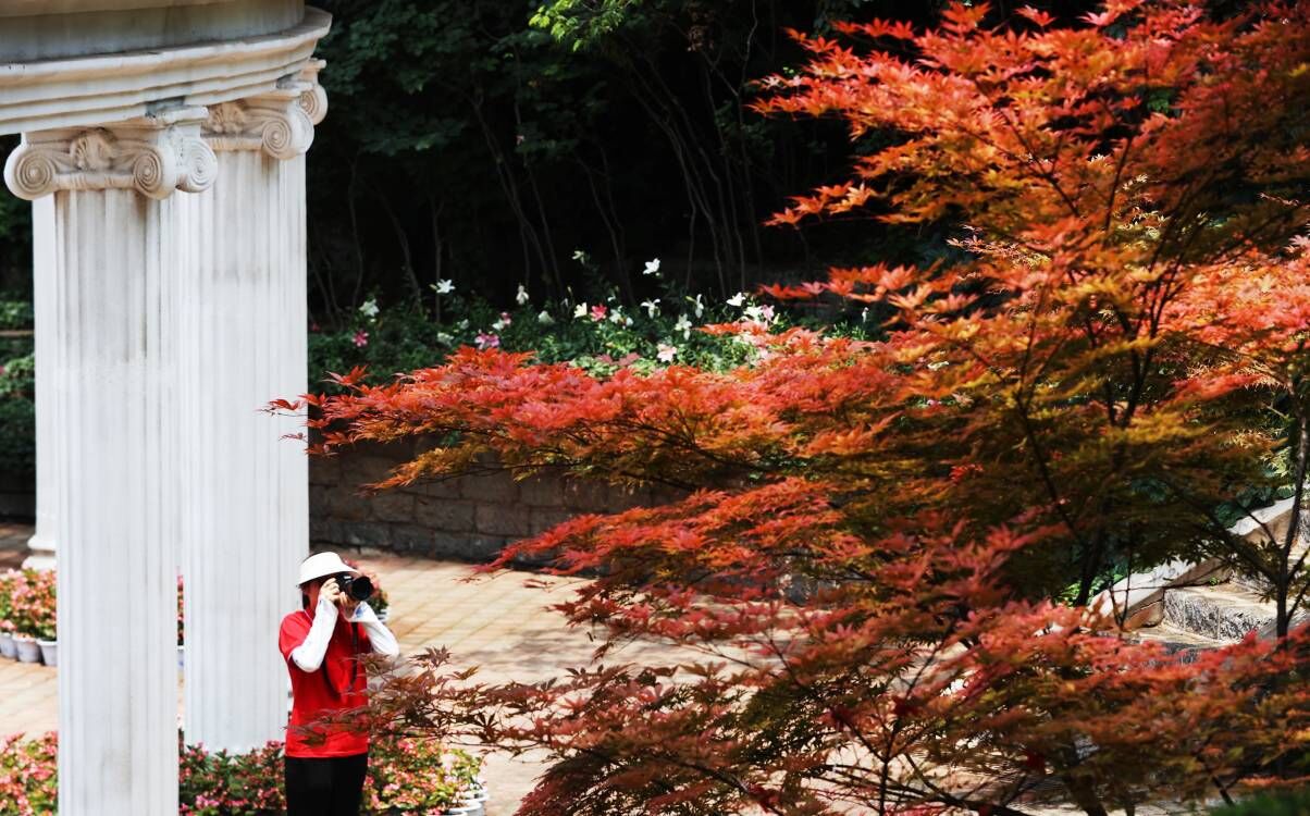 鸟禽鸣唱 山清水秀！济南红叶谷里乐度夏日时光