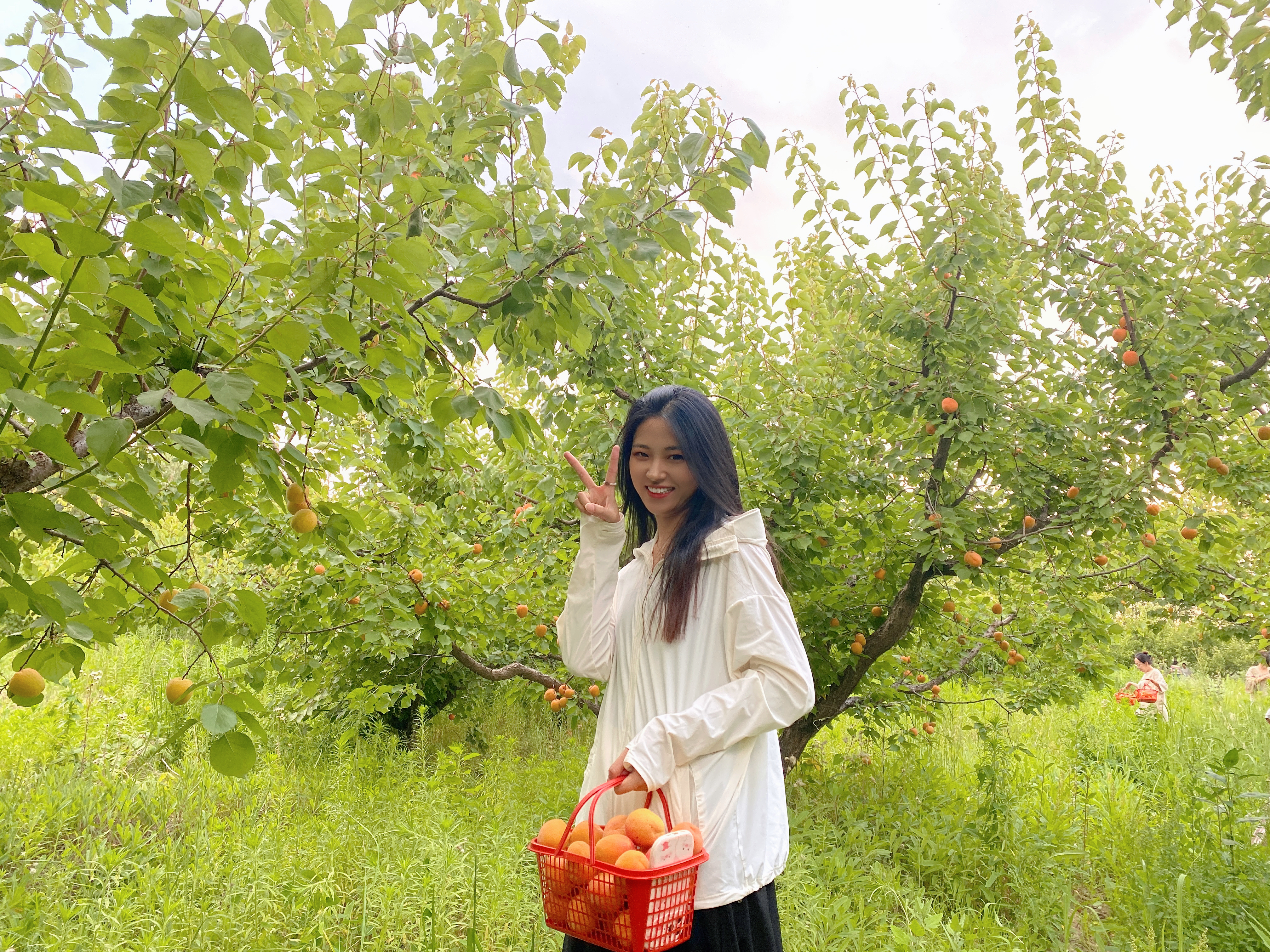 建行东营分行:利津支行开展“热情六月，“杏”福来袭”团建活动