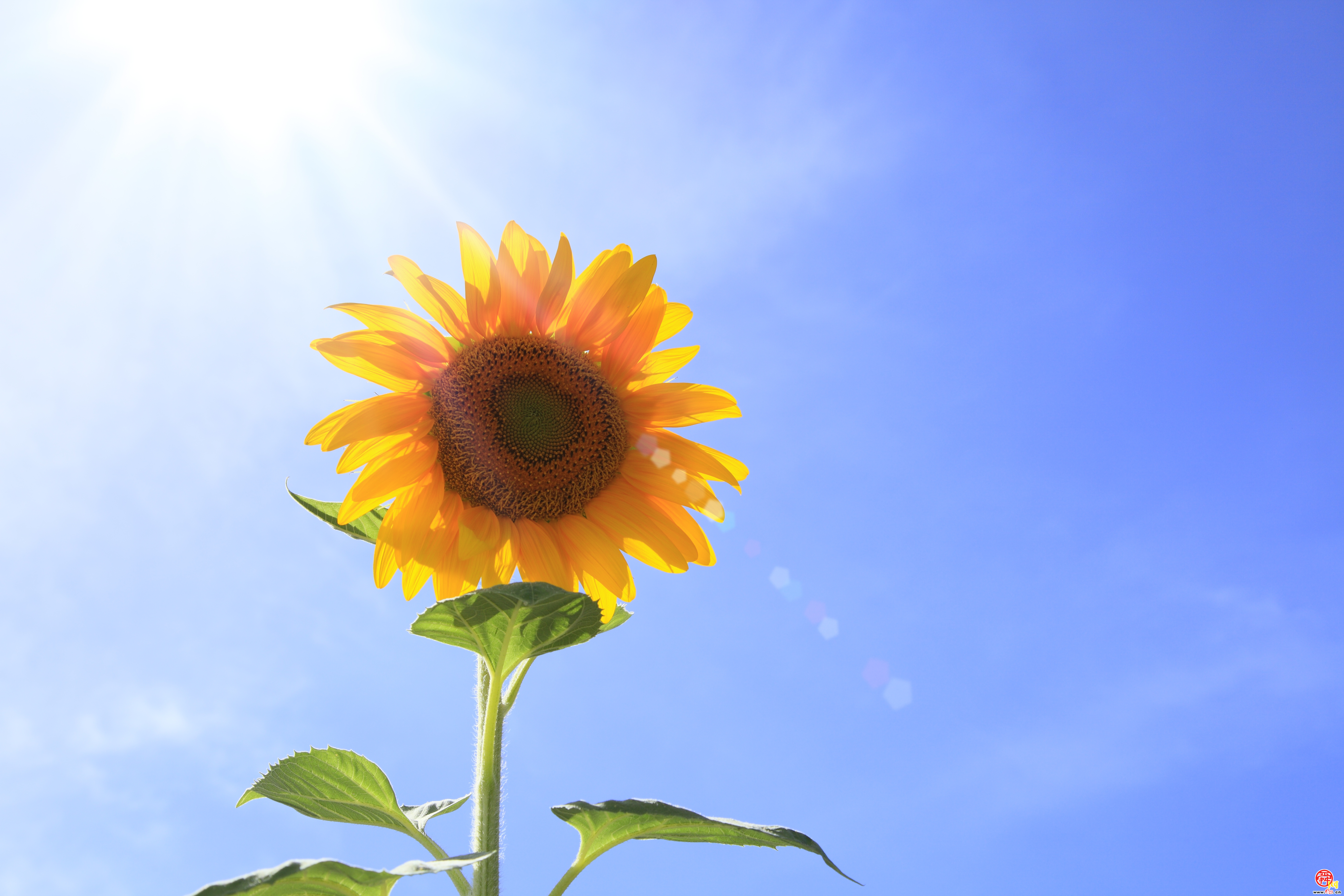 突破极值！端午假期山东为啥这样热？