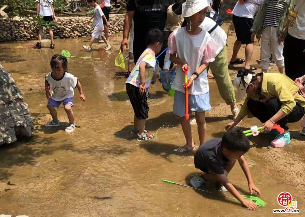 浑水摸鱼 抓泥鳅……济南这个高山景区成网红避暑打卡地！