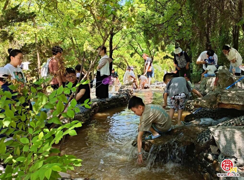 浑水摸鱼 抓泥鳅……济南这个高山景区成网红避暑打卡地！