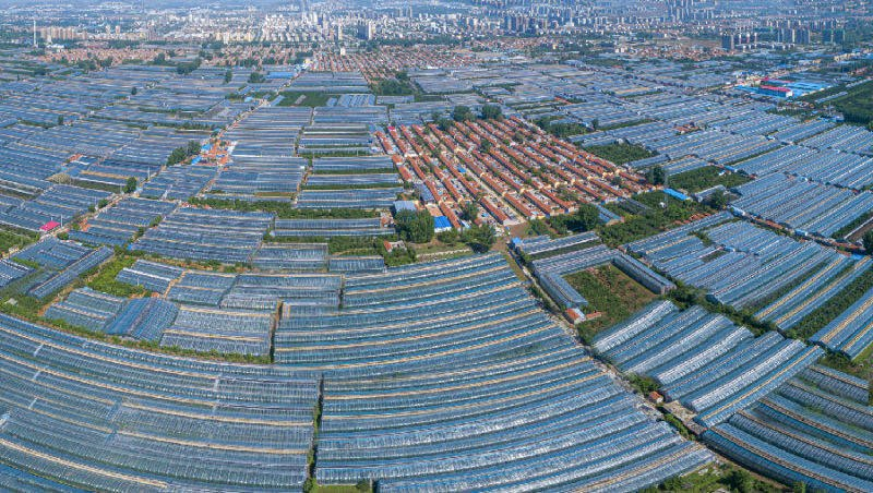 山东平安产险潍坊中支：强化农险服务 助力乡村振兴