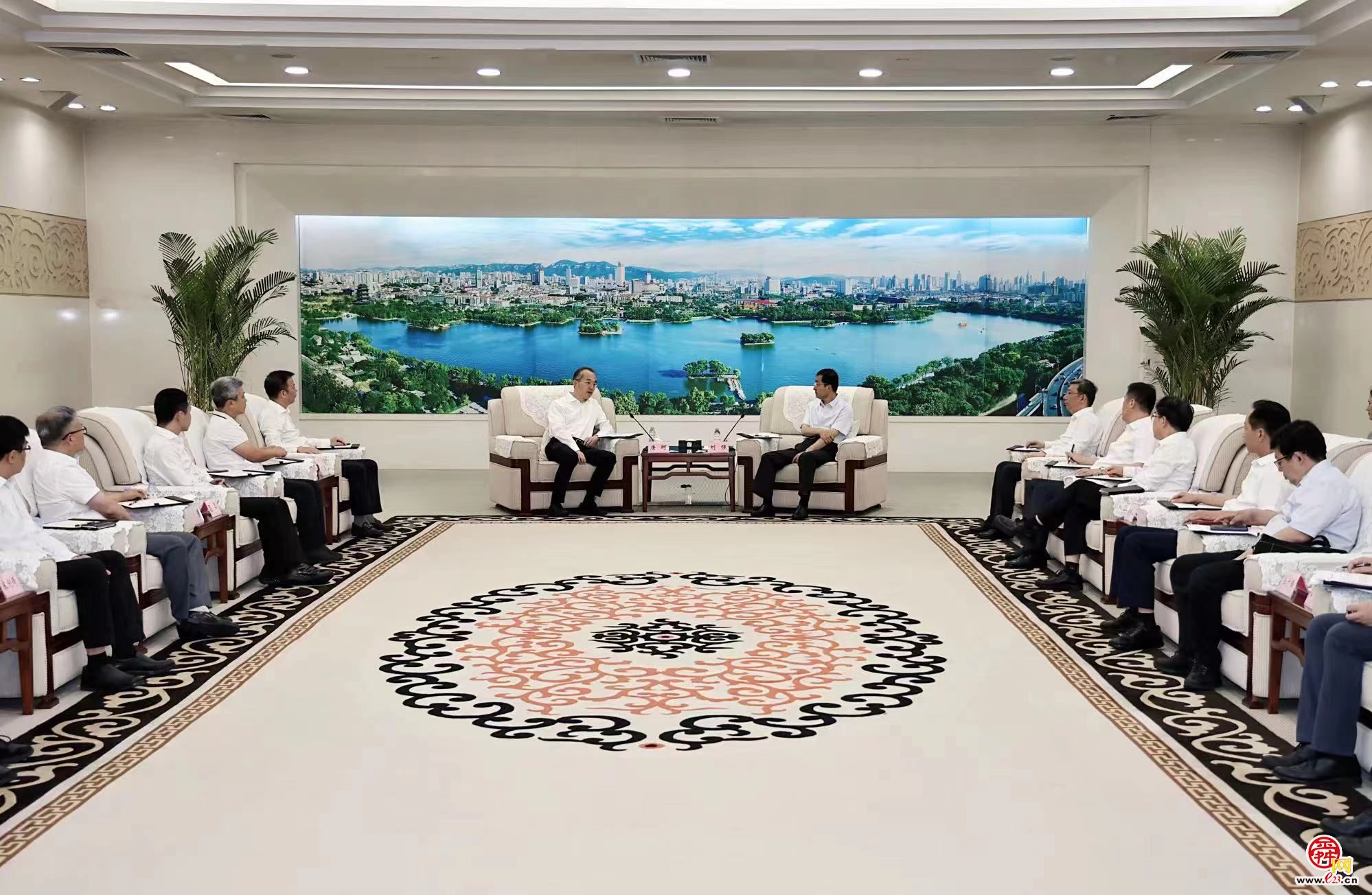 刘强会见中国电信客人