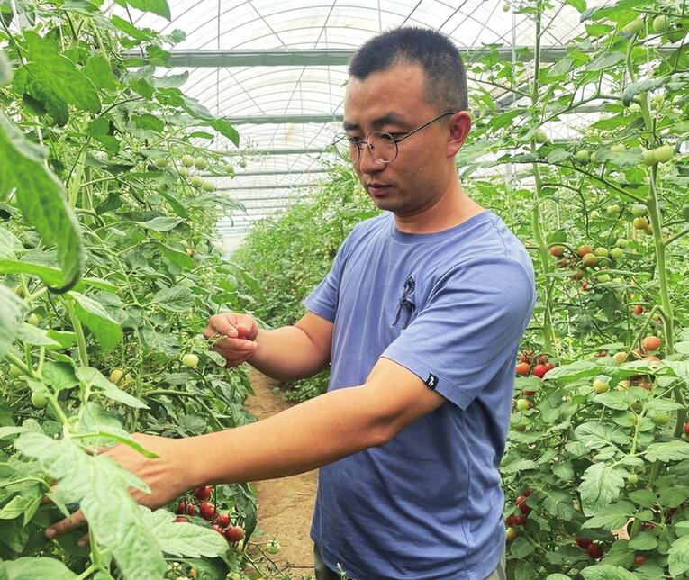 农学硕士放弃高薪辞去编制，回村承包4000亩地 这位济南“农场主”年赚600万元