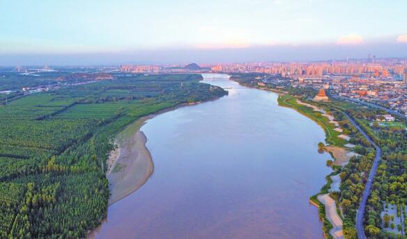 黄河済南泺口段：「洪峰」が徐々に消えて一部の河原が水面に露出