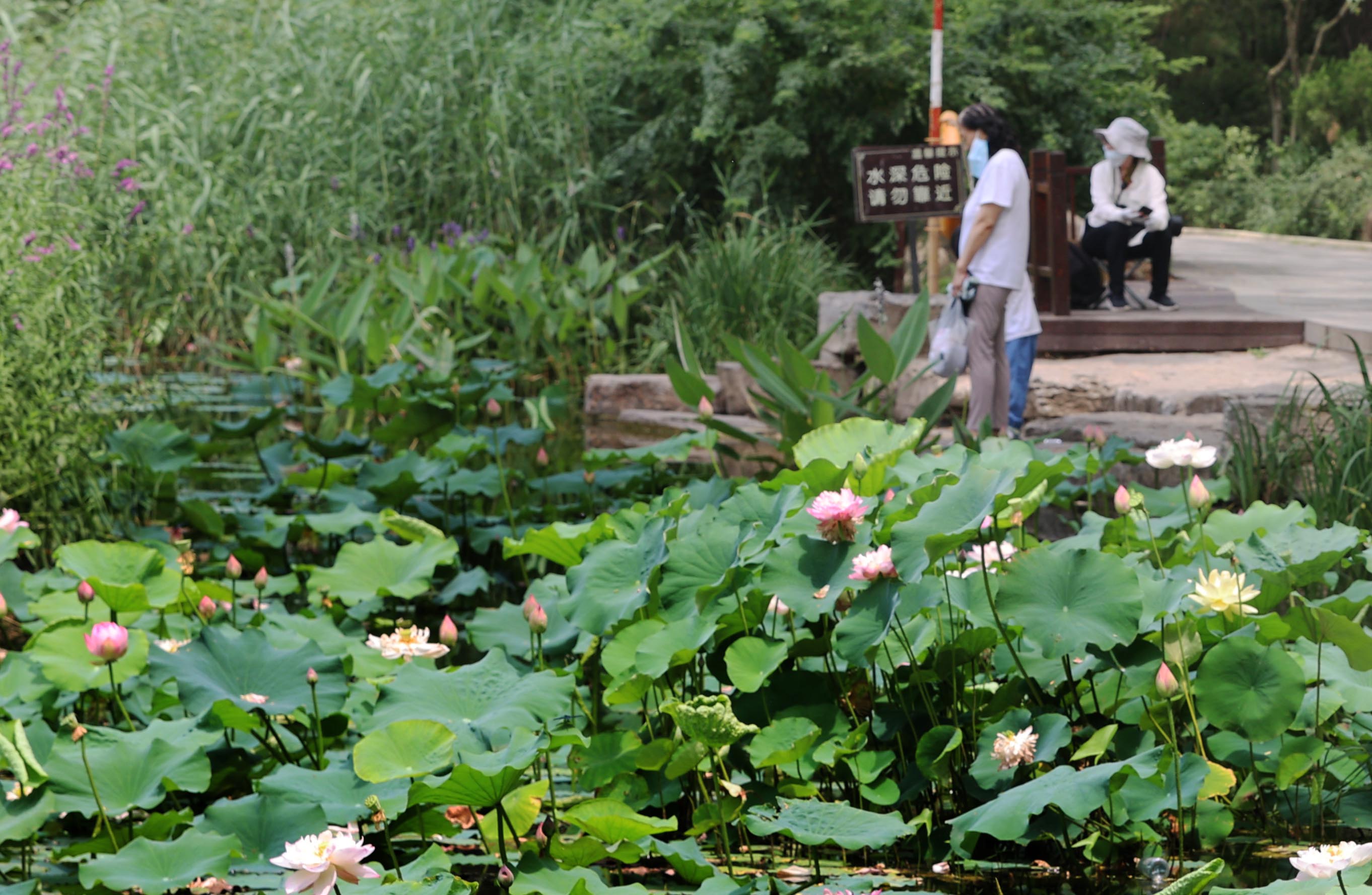 济南：以“公园+”为引领，加快构建公园景区发展新图景