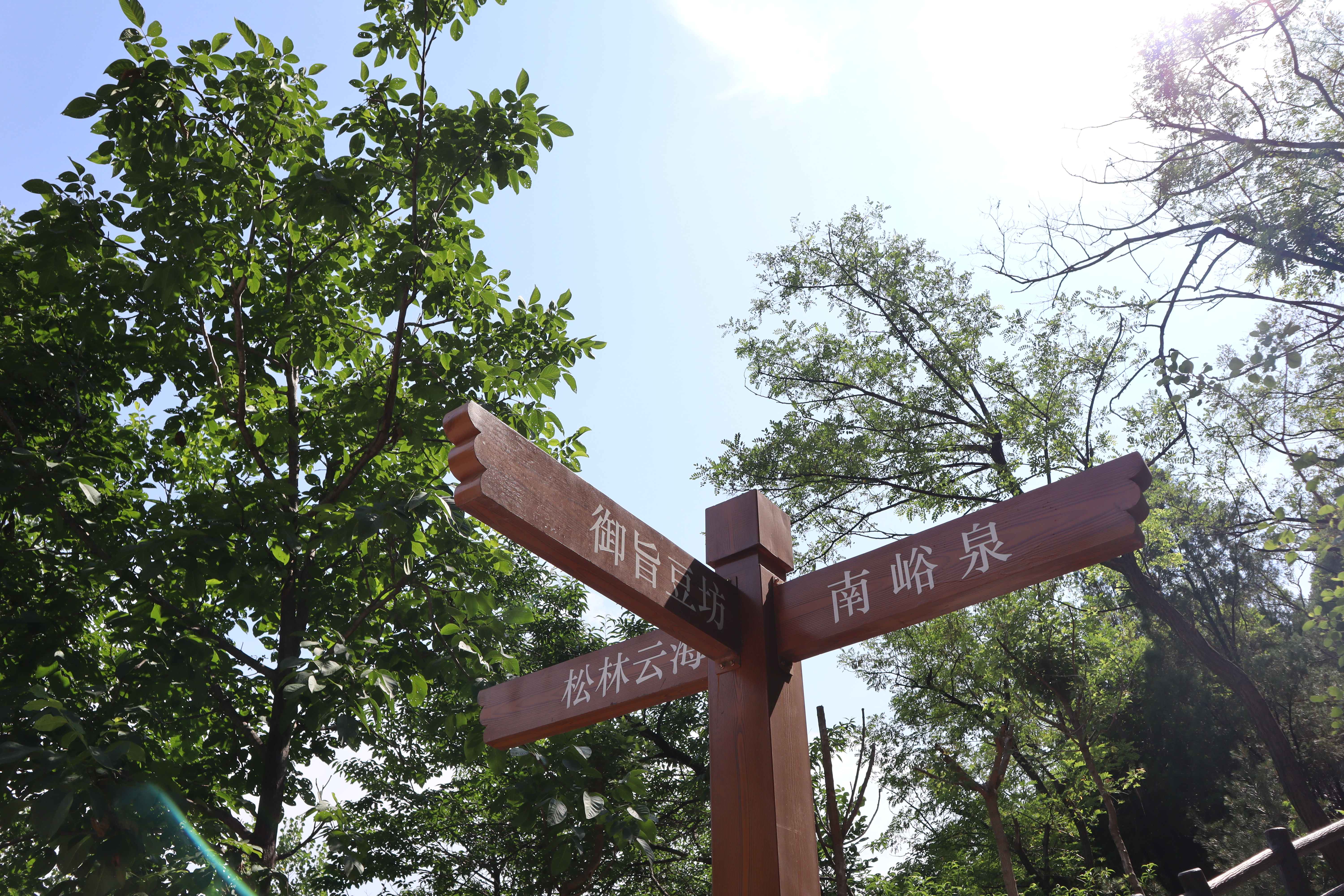 融媒·见证丨山巅飘来豆腐香！仅有99口人的小山村，怎样闯出振兴路？