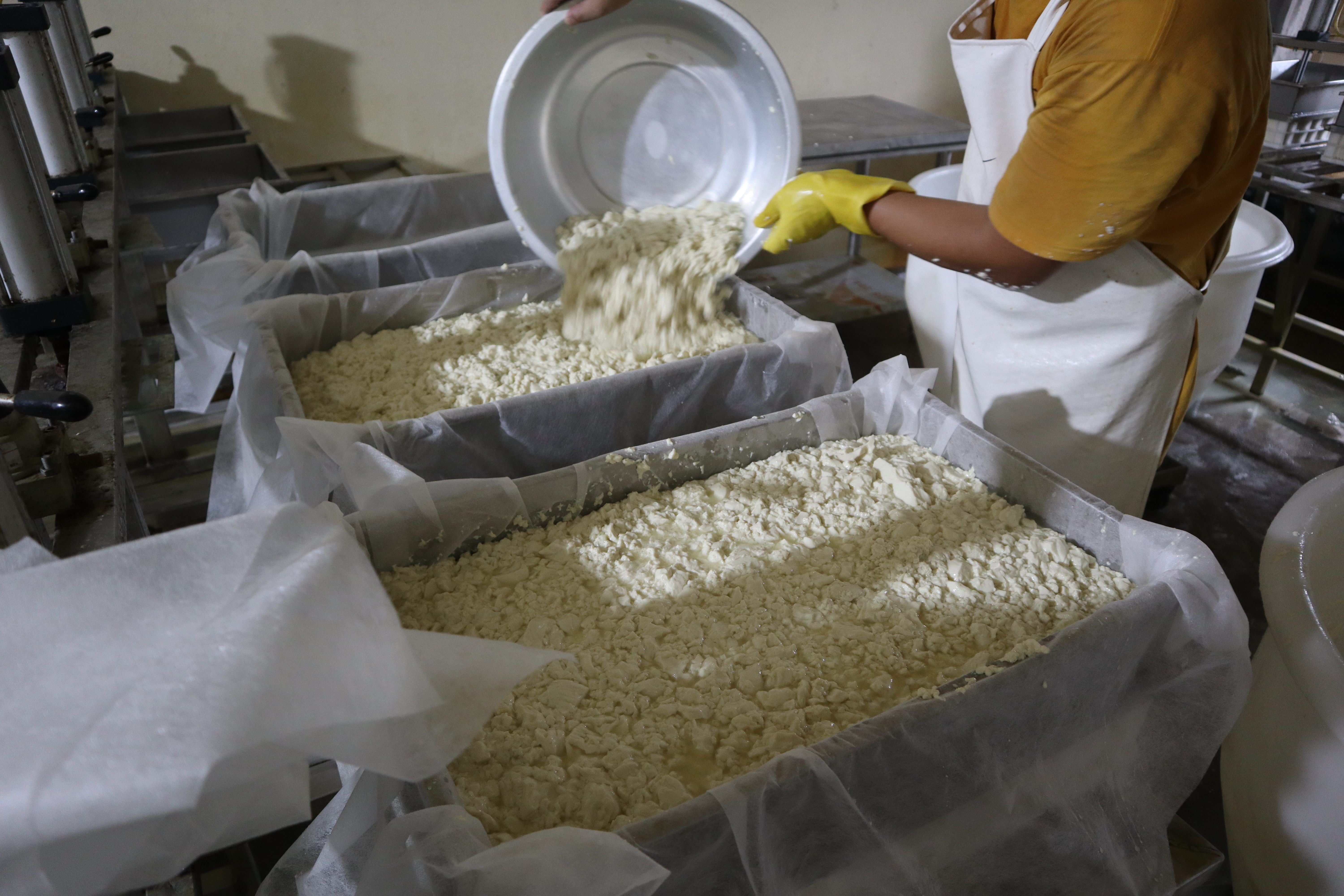 融媒·见证丨山巅飘来豆腐香！仅有99口人的小山村，怎样闯出振兴路？