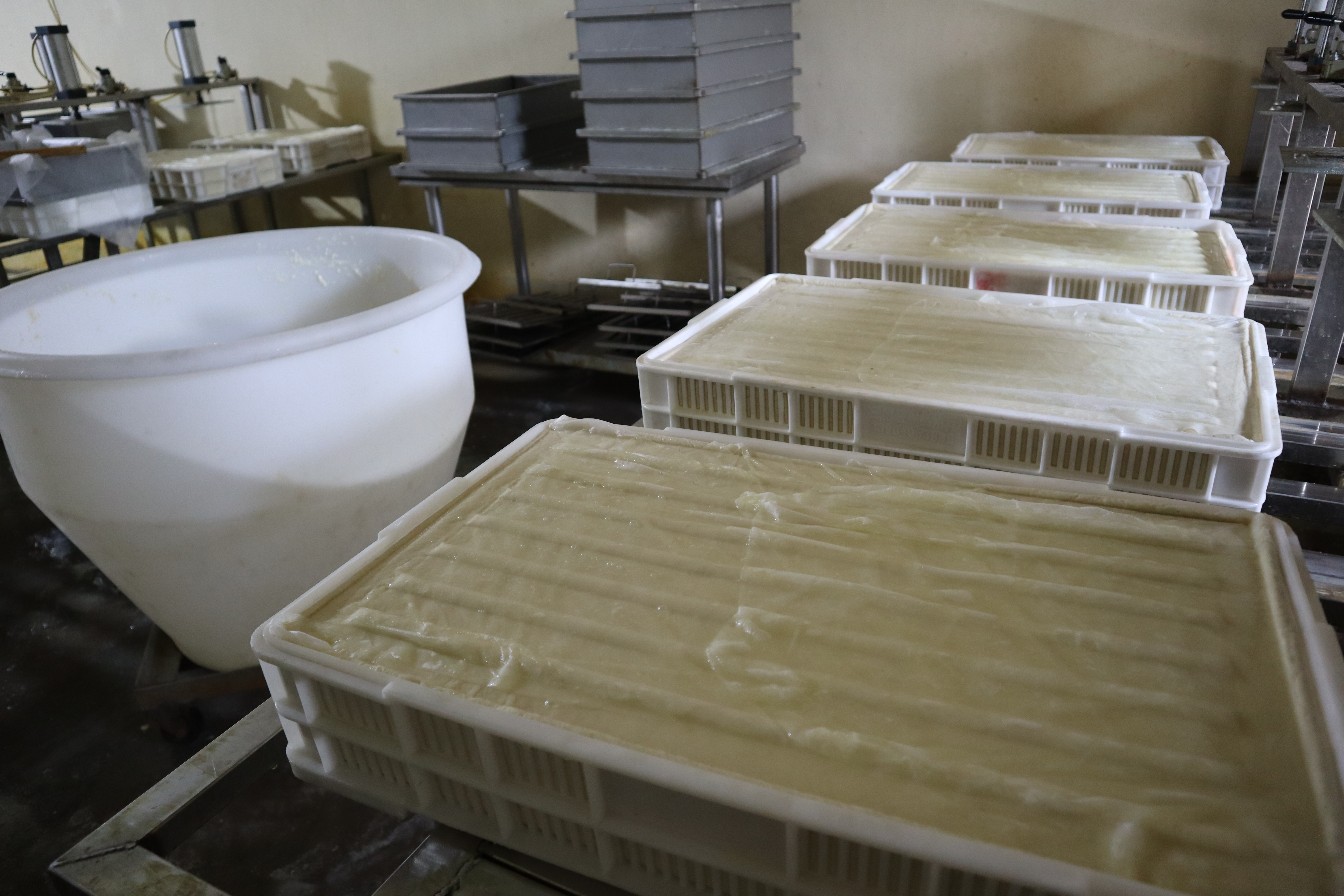 融媒·见证丨山巅飘来豆腐香！仅有99口人的小山村，怎样闯出振兴路？