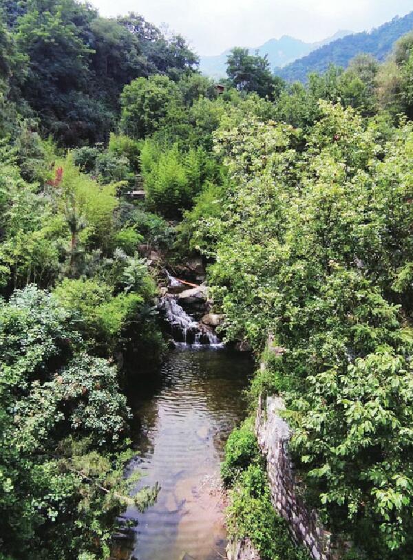 炎炎夏日去南山 南山南有大高尖