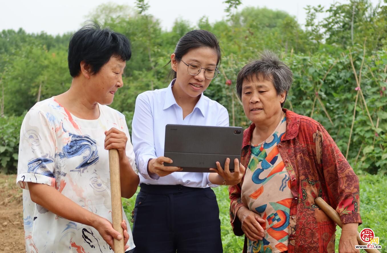 融媒·画像丨田野撒下“金种子”