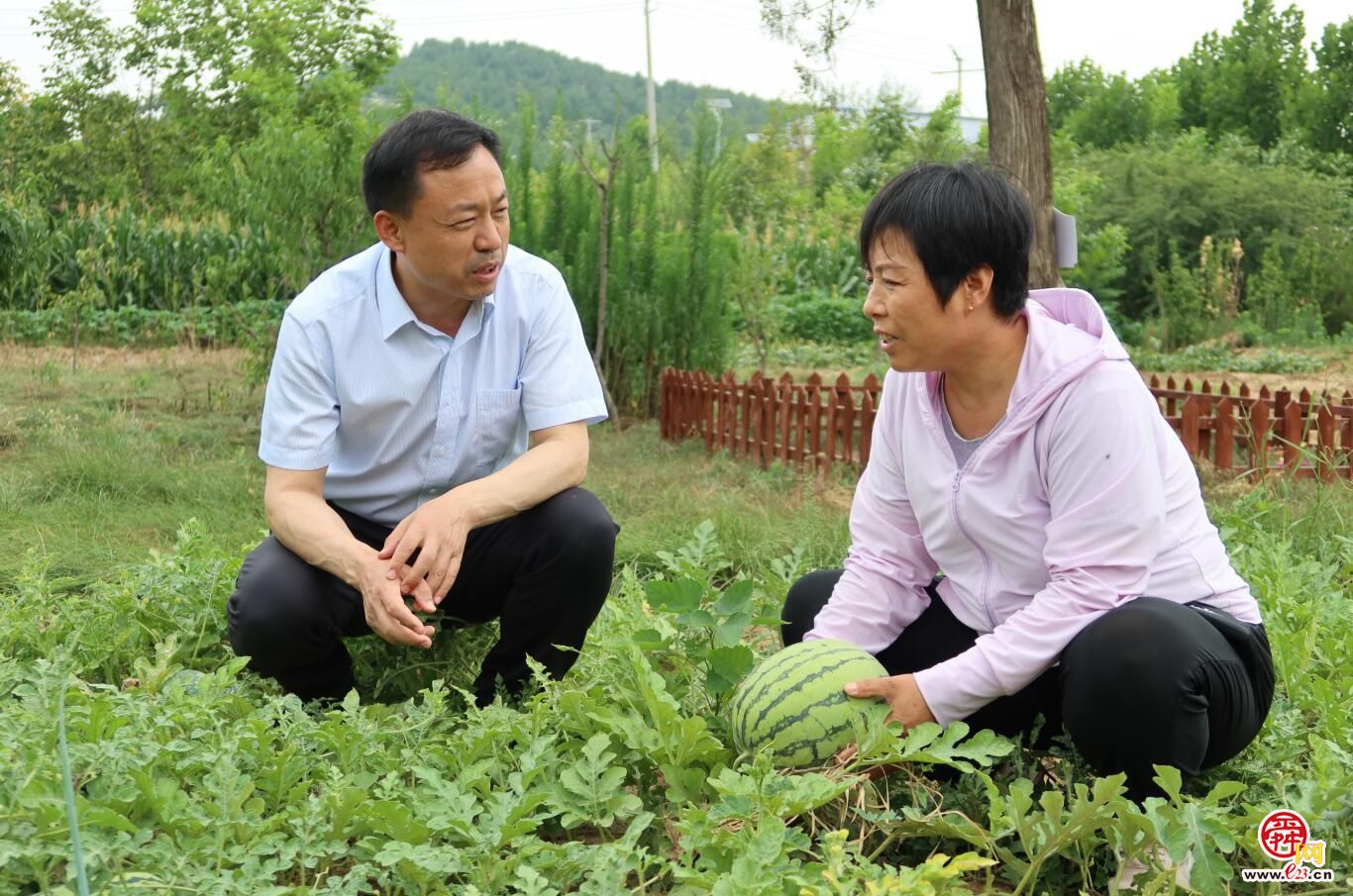 融媒·画像丨田野撒下“金种子”