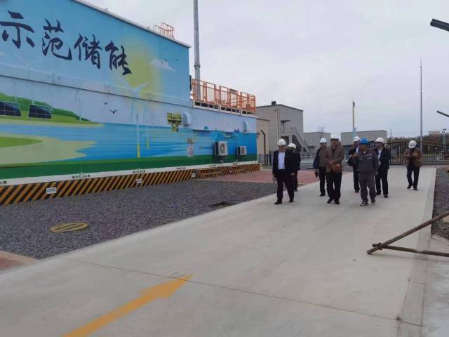 山东烟台：精耕绿色金融“肥沃土” 助力绿色发展“春满园”