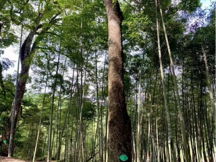 成为老百姓的知心人、好伙伴