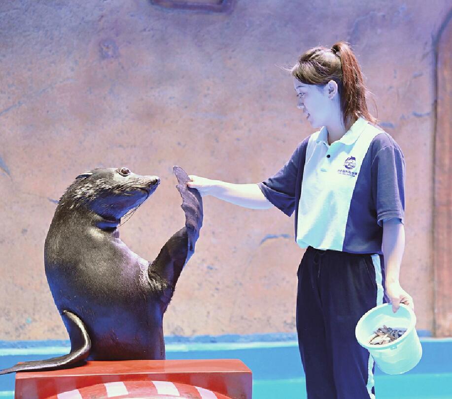 90后女驯兽师的7年:泡在20°C冷水中 驯过的海洋动物都成了家人