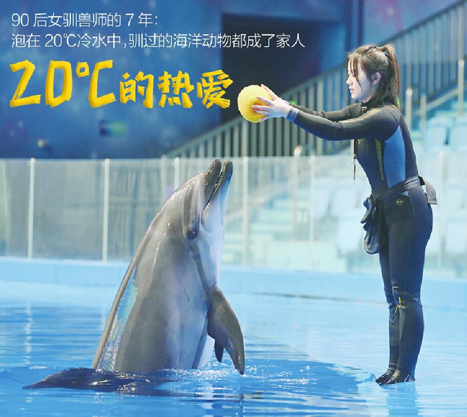 90后女驯兽师的7年:泡在20°C冷水中 驯过的海洋动物都成了家人