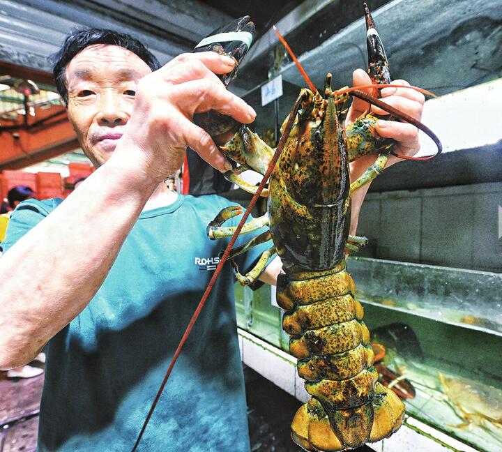 北美龙虾“鲜翻”餐桌 济南货主销量涨两倍