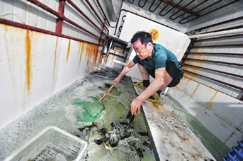 北美龙虾“鲜翻”餐桌 济南货主销量涨两倍