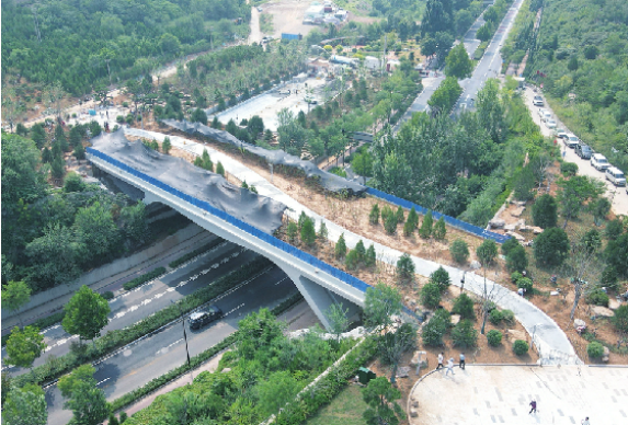 Die erste “grüne ökologische Brücke” in Shandong zeigt neues Aussehen