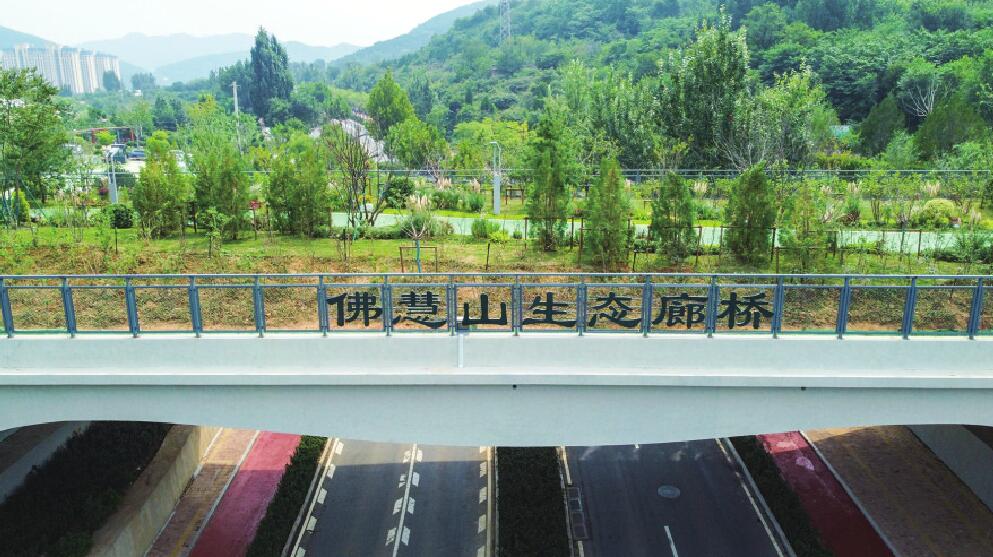 山东第一座绿色生态桥——佛慧山生态廊桥今天正式启用