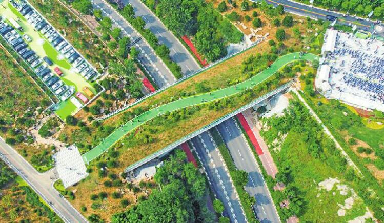 山東初の緑色生態橋！済南仏慧山生態廊橋が正式に対外開放