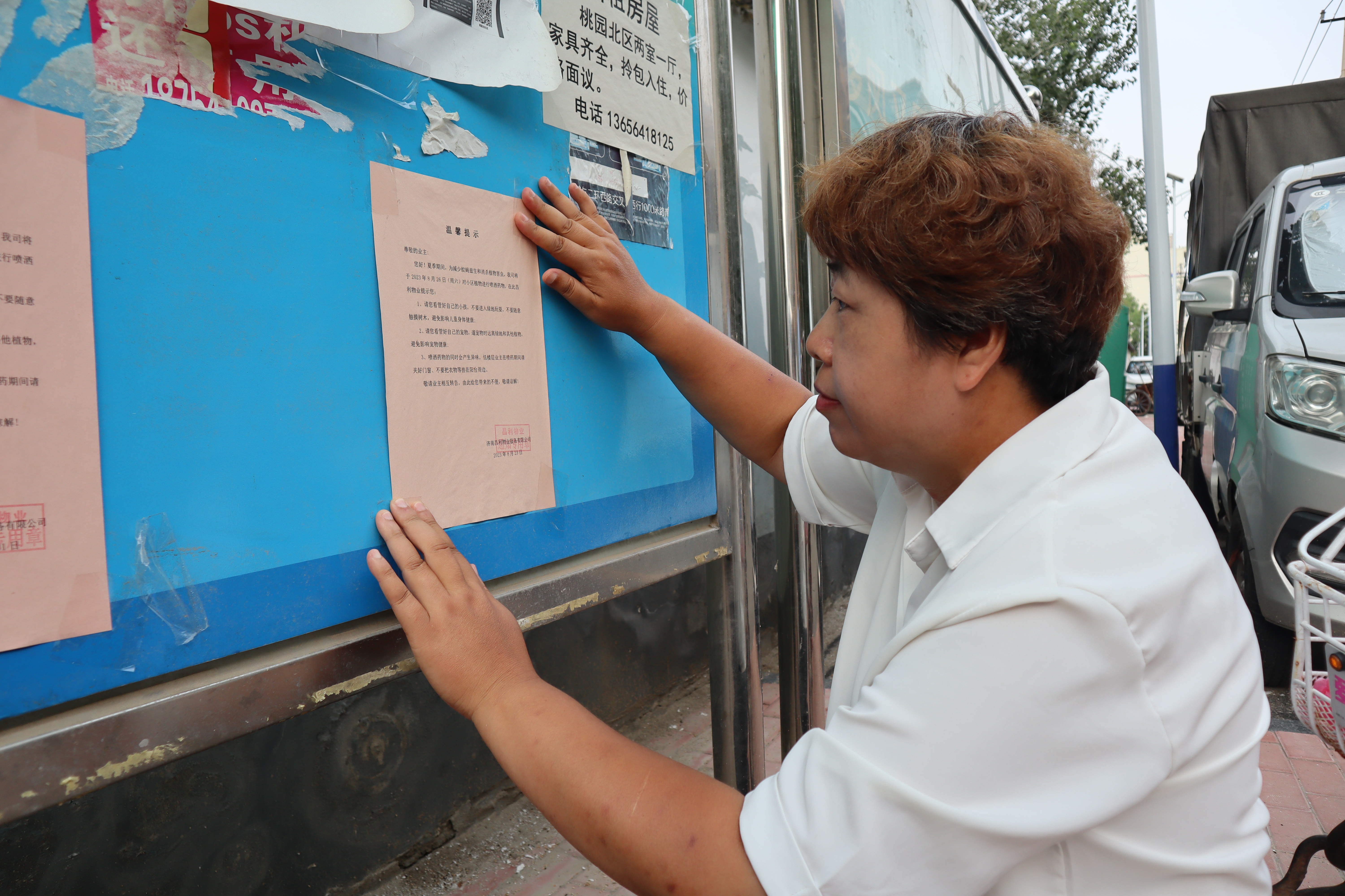 融媒·见证｜社区成立“找茬队”，物业通过“试用期”——老小区来了“新管家”