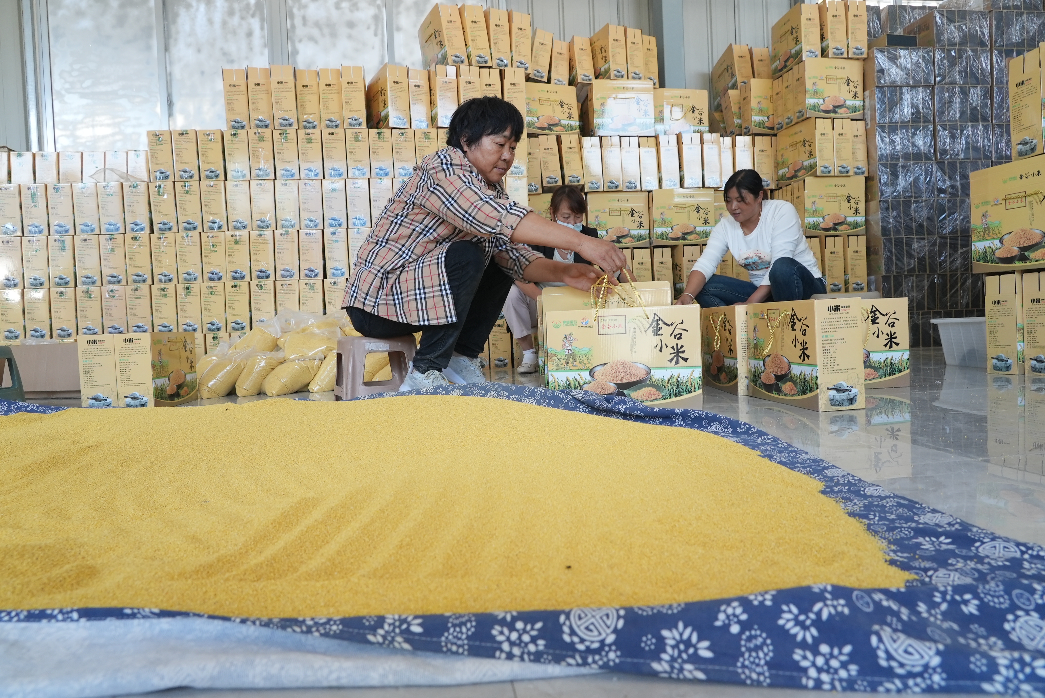 融媒·先锋丨街道创新好做法，30个村拓宽致富路——跟着支书来创业